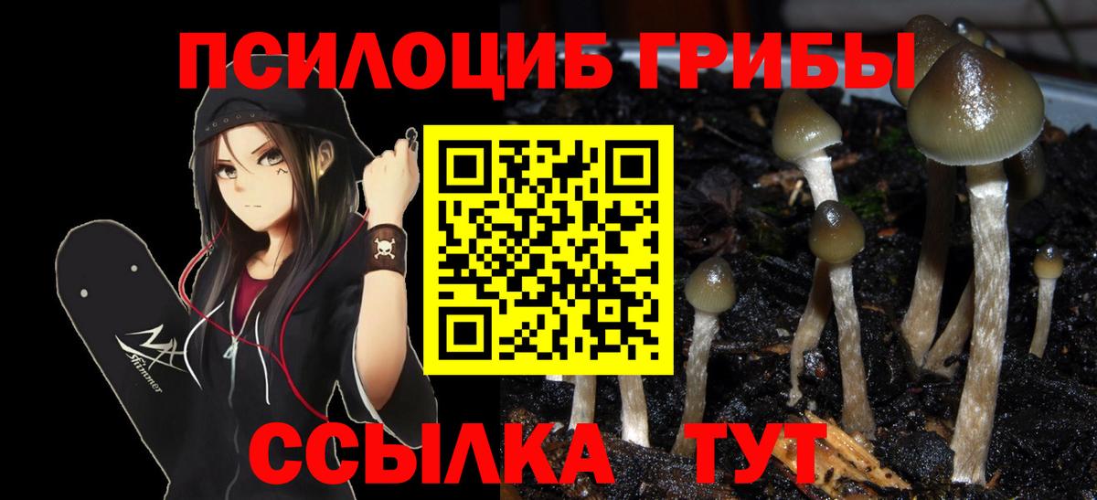 Псилоцибиновые грибы прущие грибы  Вход с VPN  Похвистнево 